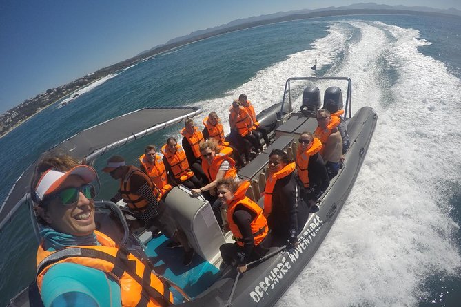 1.5-Hour Seal Viewing Boat Tour in Plettenberg Bay - The small-group advantage