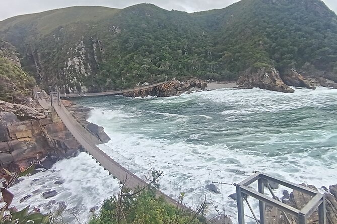 1 Day Garden Route Tour: From Port Elizabeth to the Crags - Monkeyland: a different kind of animal visit