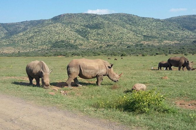 1 Day Safari from Johannesburg - Lunch in the middle of the safari day