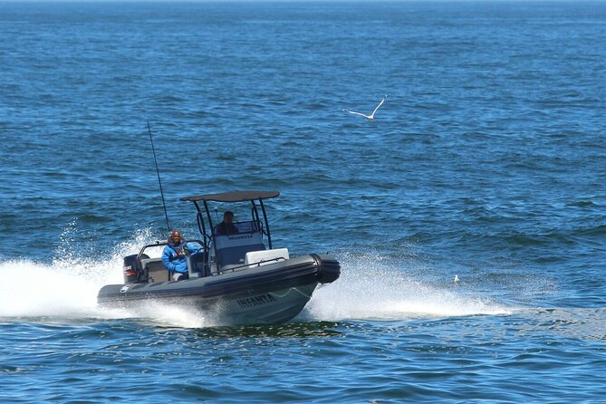 1 Day Whale Watching at Yzerfontein - The 6:30 am welcome at Yzerfontein Harbour