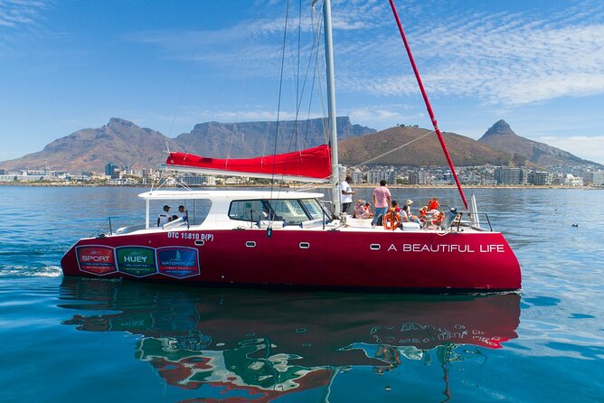 1- Hour Catamaran Cruise Cape Town - Key points to know before you book