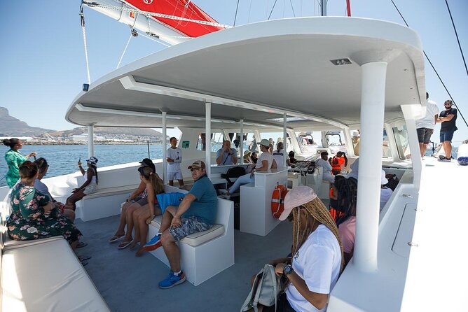 1- Hour Catamaran Cruise Cape Town - Weather, timing, and the value of the ride