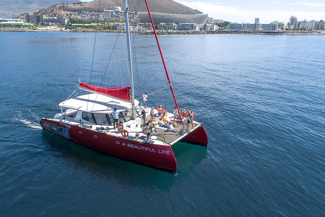 1- Hour Catamaran Cruise Cape Town - Meeting at Quay 5 in the V&A Waterfront