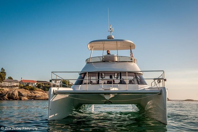 1 Hour Coastal Catamaran Cruise from Cape Town - Crew, music, and the onboard mood