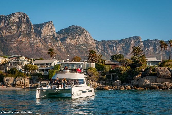 1 Hour Coastal Catamaran Cruise from Cape Town - Is $21.28 good value for one hour?