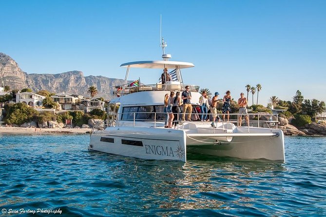 1 Hour Coastal Catamaran Cruise from Cape Town - Morning, afternoon, or sunset?