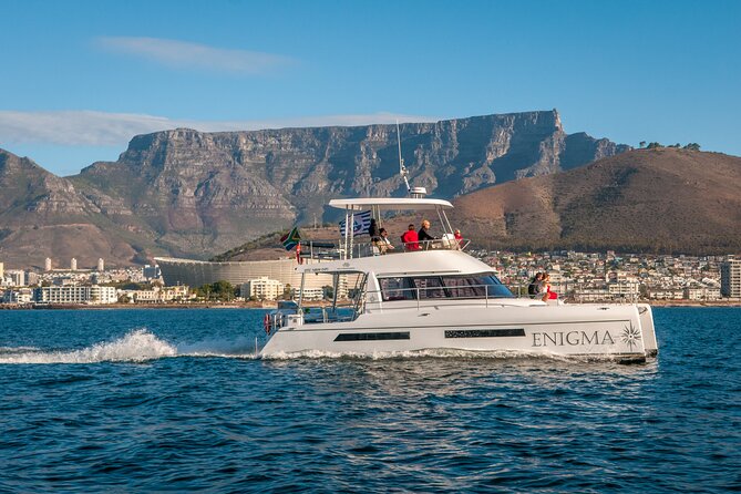 1 Hour Coastal Catamaran Cruise from Cape Town - The Atlantic coast and the Green Point lighthouse