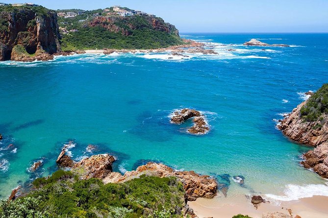 10 Day Cape & Garden Route Tour Combo with add-on accommodation - Day 4: Use the Red Bus or Visit Table Mountain