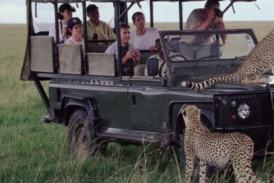 10-Day Private Tour Johannesburg to Cape Town