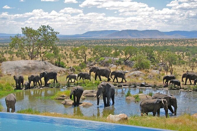10-Day Private Tour Johannesburg to Cape Town - Howick and the Drakensberg bring history and hiking