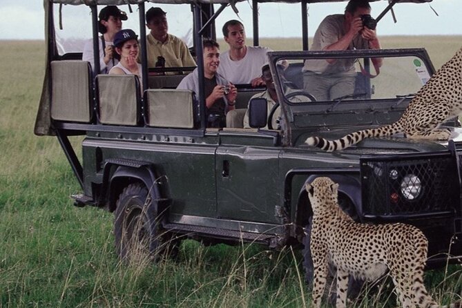 10-Day Private Tour Johannesburg to Cape Town - Kruger National Park delivers the first big thrill