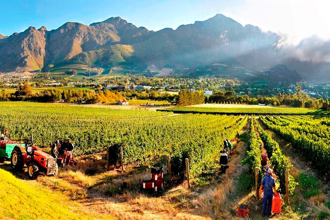 10-Day South Africa Budget Adventure: Cape Town, Joburg & Kruger - Days 2 to 5: Safari mornings, open vehicles, and the Panorama Route