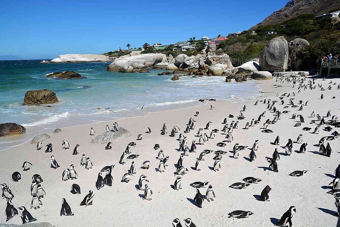 10-Day South Africa Budget Adventure: Cape Town, Joburg & Kruger - Day 7: Table Mountain and Cape Malay culture