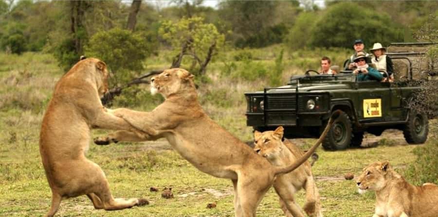 10 Day South Africa Tour Joburg to Cape Town - The Wild Coast, Mthatha, and Qunu