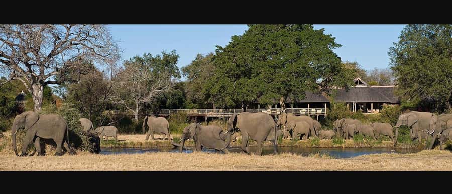 10 Day South Africa Tour Joburg to Cape Town - Addo Elephant National Park from Port Elizabeth