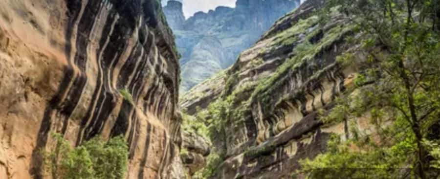 10 Day South Africa Tour Joburg to Cape Town - Three nights around Knysna