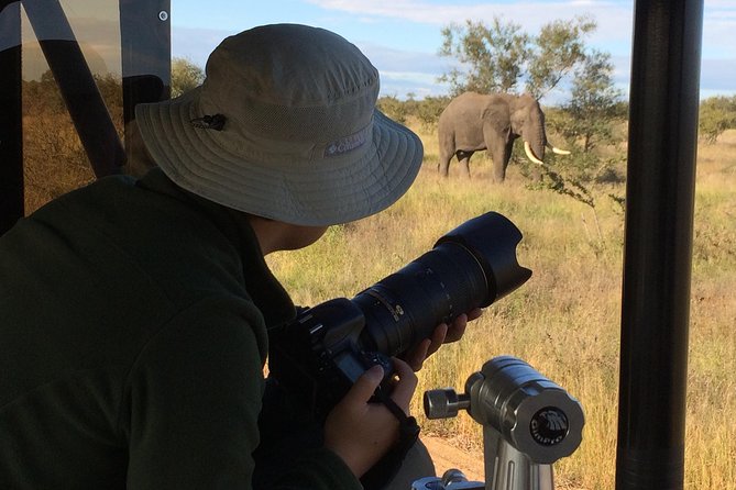 10 Day Wildlife Photographic Safari - Kruger National Park - B1 Photo Safaris - Moving between three or four Kruger camps
