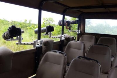 10 Day Wildlife Photographic Safari – Kruger National Park – B1 Photo Safaris