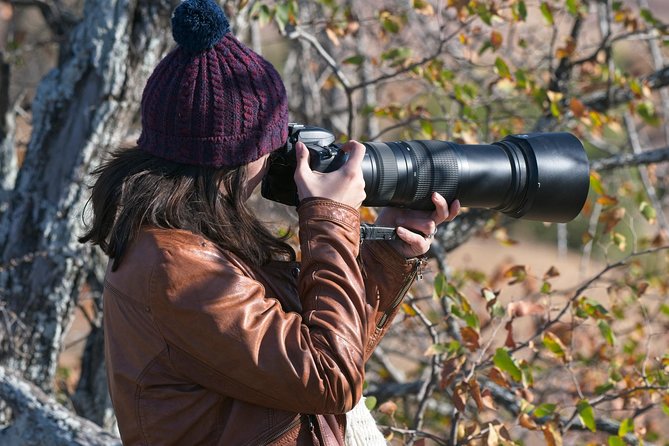 10 Day Wildlife Photographic Safari - Kruger National Park - B1 Photo Safaris - What the daily bush experience is likely to feel like