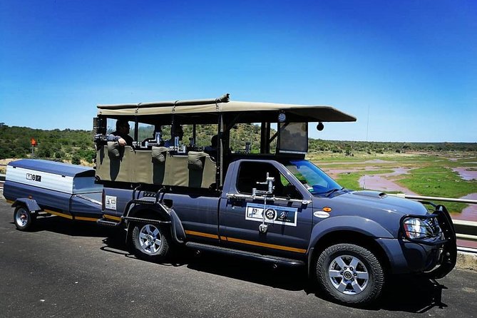 10 Day Wildlife Photographic Safari - Kruger National Park - B1 Photo Safaris - Optional walks and night drives cost extra