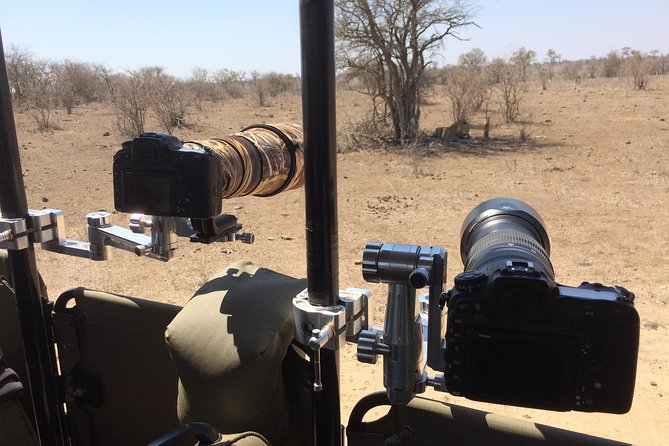 10 Day Wildlife Photographic Safari - Kruger National Park - B1 Photo Safaris - Is $4,320.61 good value?