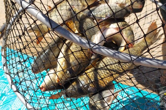 100 % Catch Rate Cape Town Wild Tours - What to confirm before you go