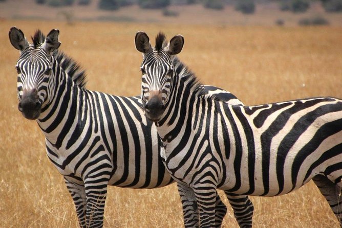 13 Day Safari - Cape Town to Johannesburg - Day 8: hiking in the Drakensberg, then Durban