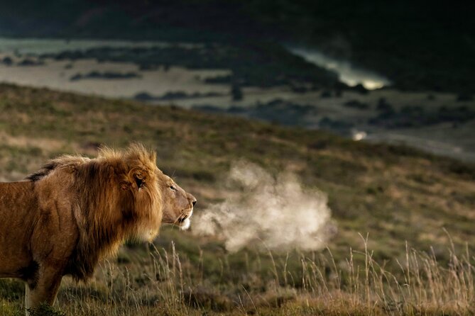 2 Day Addo Elephant Park Safari - Key Things to Know Before You Book