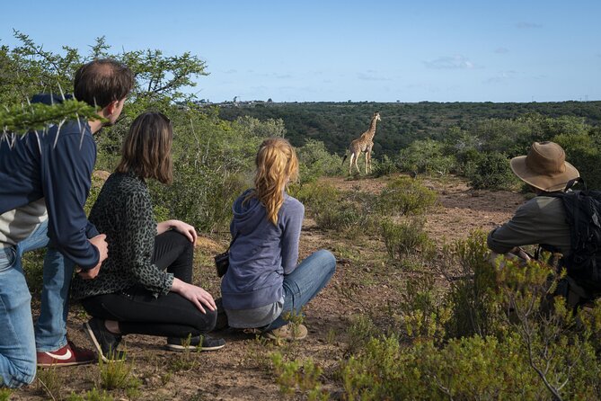 2 Day Addo Elephant Park Safari - Giraffe Tracking on Foot in Greater Addo