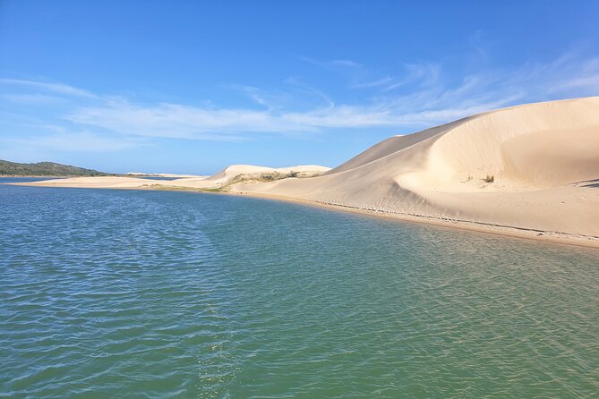 2 Day Addo Elephant Park Safari - Is $467.25 a Fair Price?