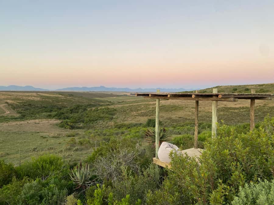 2-Day Cape Town Safari with Big 5, Penguins & Cape Agulhas - Arriving at Garden Route Game Lodge