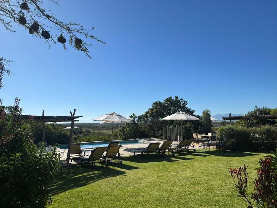 2-Day Cape Town Safari with Big 5, Penguins & Cape Agulhas - Day two through Hermanus and the Overberg