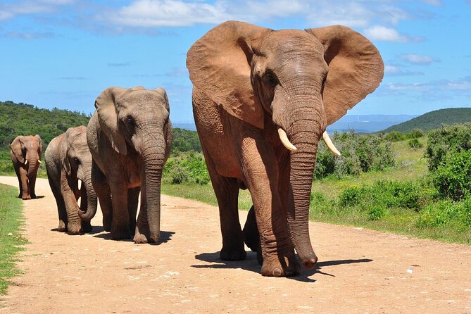 2 Day Drakensberg Mountains & Tala Game Reserve Tour From Durban - Howick Falls adds a quick natural pause