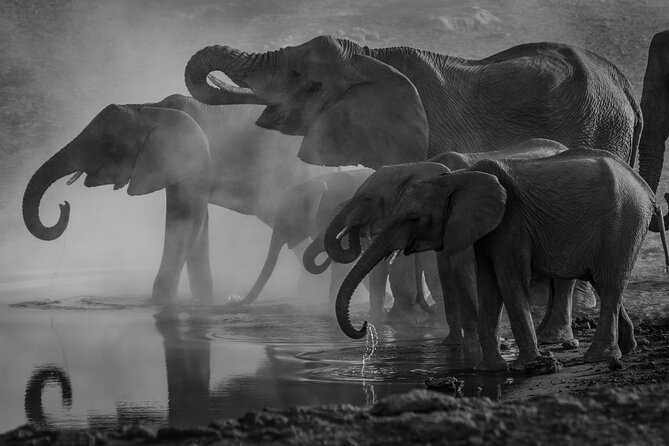 2 Day Drakensberg Mountains & Tala Game Reserve Tour From Durban - Tala Private Game Reserve: your first safari