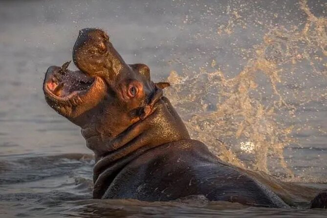 2 Day Hluhluwe Game Reserve & Isimangaliso Park from Durban - Who will get the most from this experience