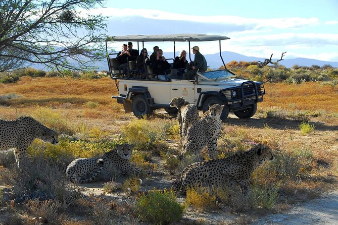 2 Day Inverdoorn Luxury Safari - From Cape Town to the Ceres Karoo