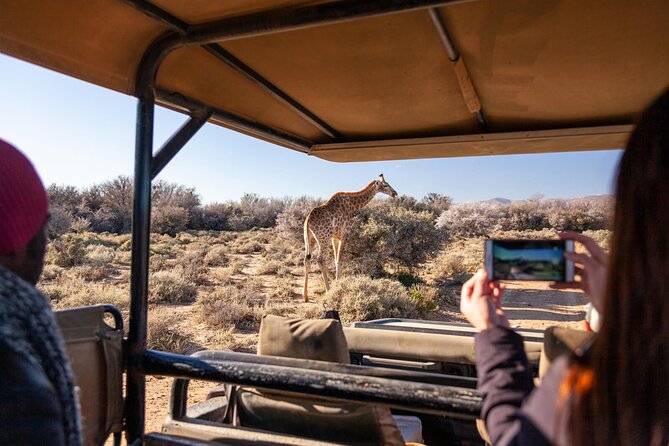 2 Day Inverdoorn Luxury Safari - Arrival at Inverdoorn and lunch under the trees