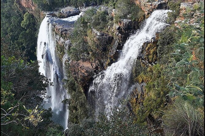 2-Day Panorama Route Add on to a booked Mmilo Tours Kruger Safari - Should you add it to your safari?