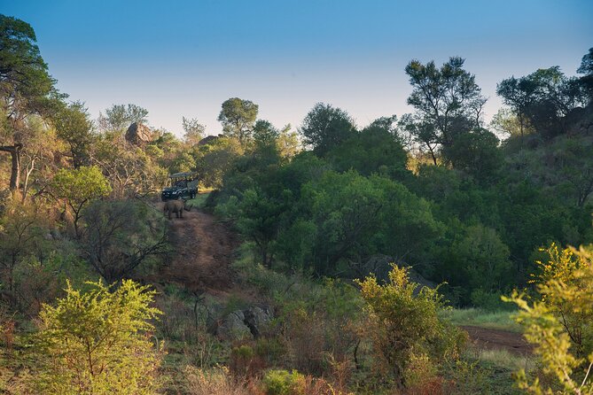2 Day Pilanesberg Camping Safari - The return to Johannesburg