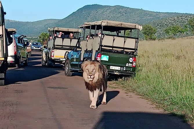 2 Day Pilanesberg ultimate Luxury Safari - The Big Five promise and the reality of sightings