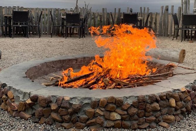 2 Day Safari Experience from Cape Town - What this two-day Cape Town safari really includes