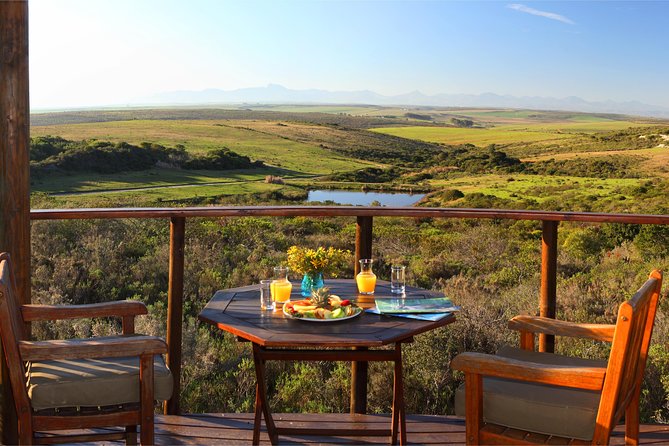 2 Day Safari Experience from Cape Town - Day 2: sunrise animals and breakfast