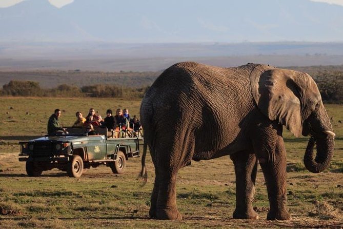 2 Day Safari Experience from Cape Town - Day 1: the early road to Cape Agulhas