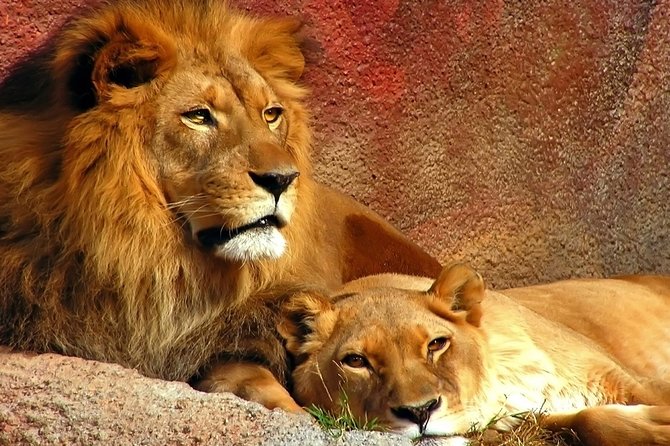2 Day Safari Isimangaliso Wetland Park & Hluhluwe Imfolozi from Durban - The timing and physical demands