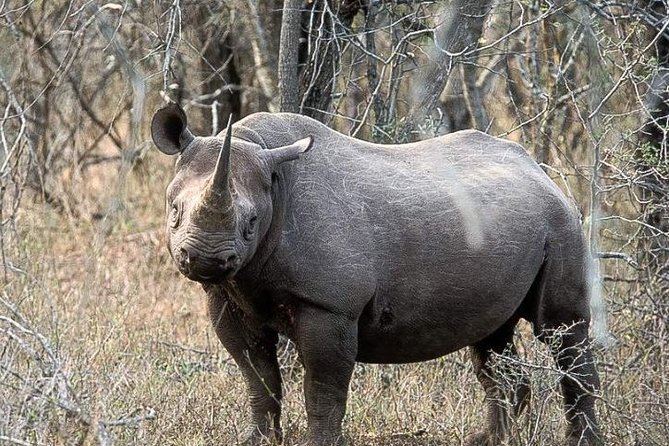 2 Day Safari Isimangaliso Wetland Park & Hluhluwe Imfolozi from Durban - Who will get the most from this safari