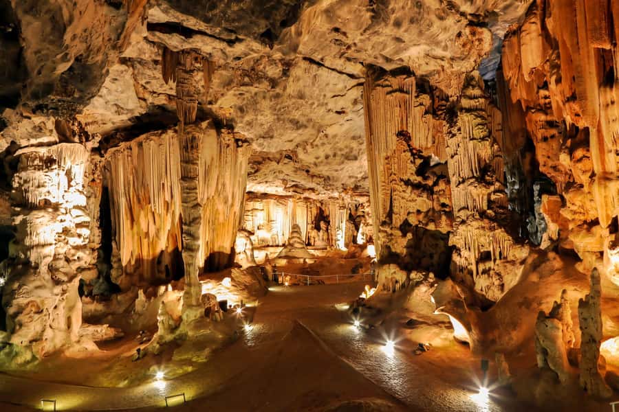 2 Day Small Group Cape Town: Garden Route Big 5 Safari Tour - The real shape of the two-day trip