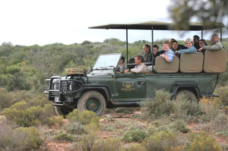 2 Day Small Group Cape Town: Garden Route Big 5 Safari Tour - Buffelsdrift and the first bush safari