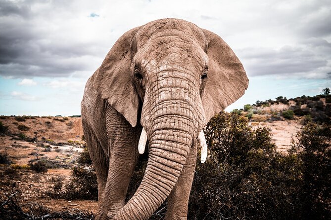 2 Day Small Group Garden Route Big 5 Safari Tour from Cape Town - Leaving Cape Town before sunrise