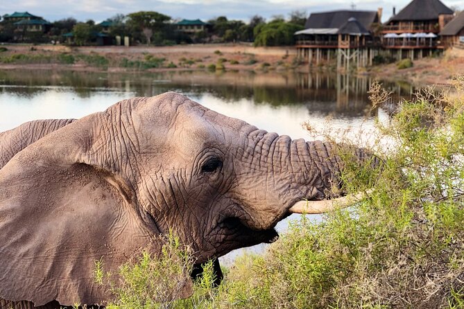 2 Day Small Group Garden Route Big 5 Safari Tour from Cape Town - The long return to Cape Town