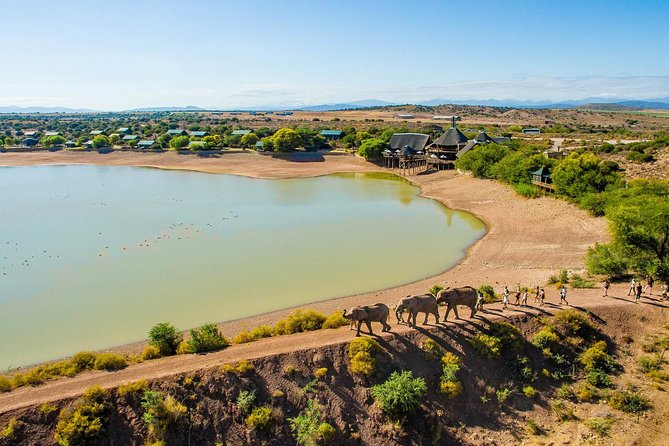 2 Day South African Wildlife Tour with 4x4 Safari from Cape Town - Botlierskop brings the best chance for big animals